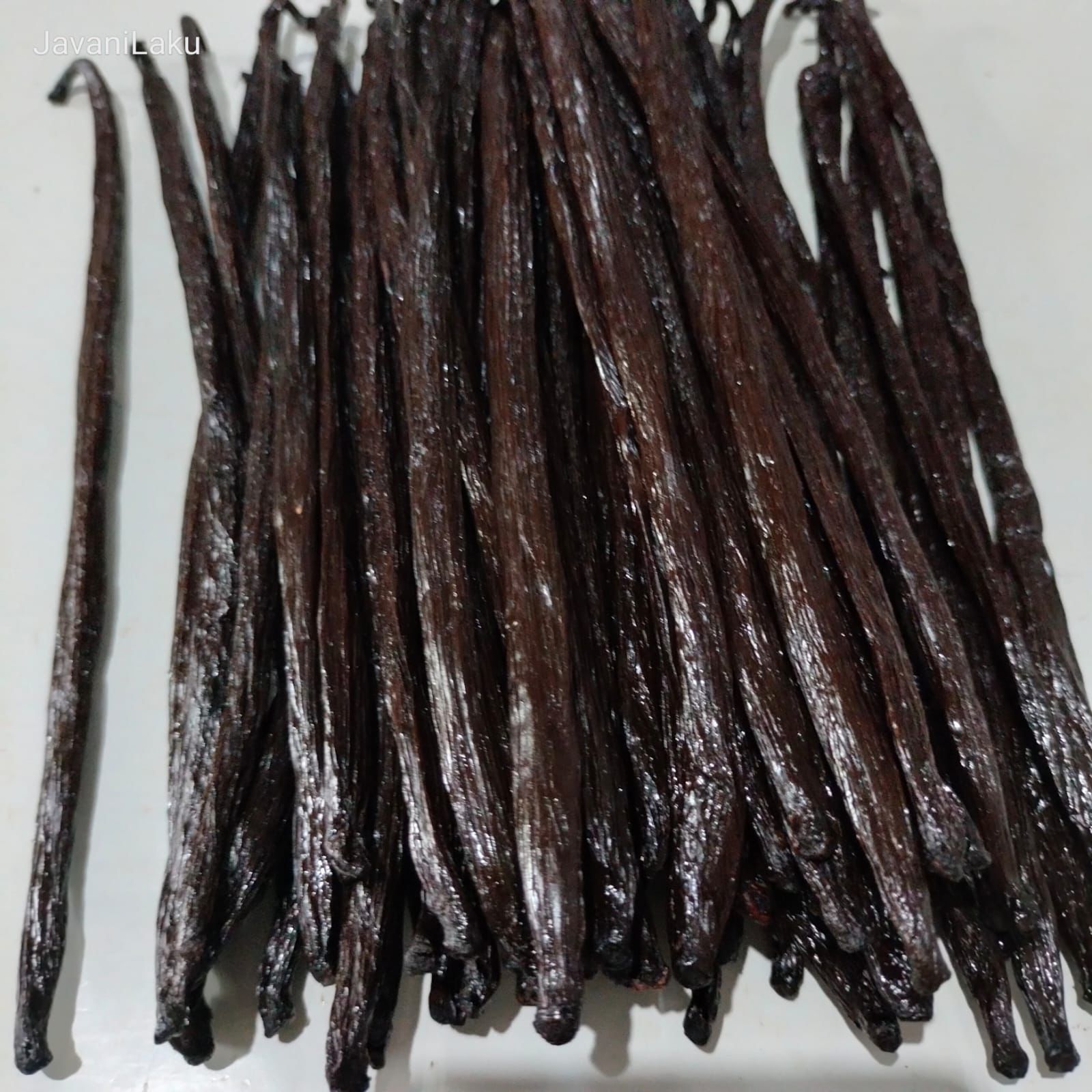 Planifolia Vanilla Bumora