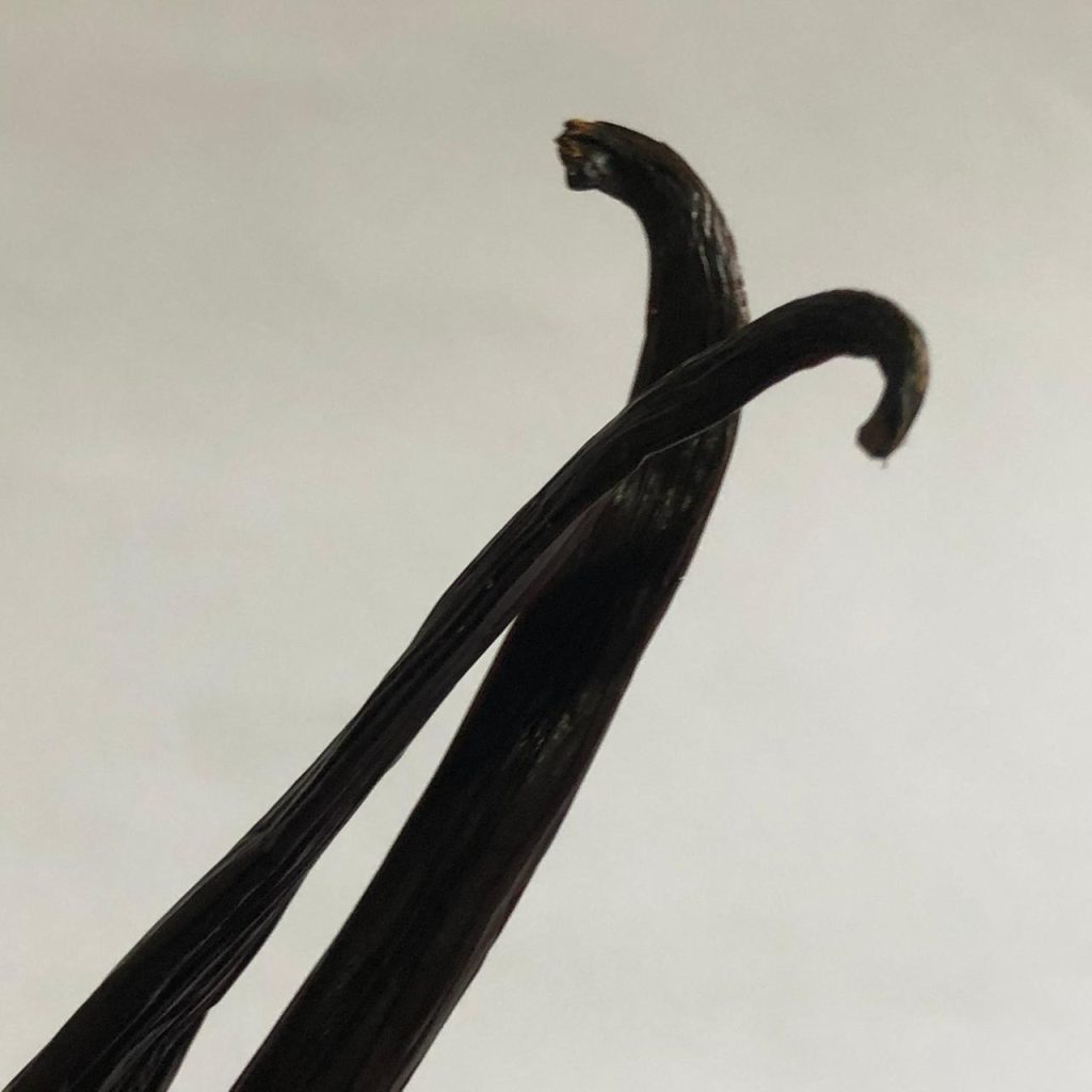 Tahiti Vanilla Bumora