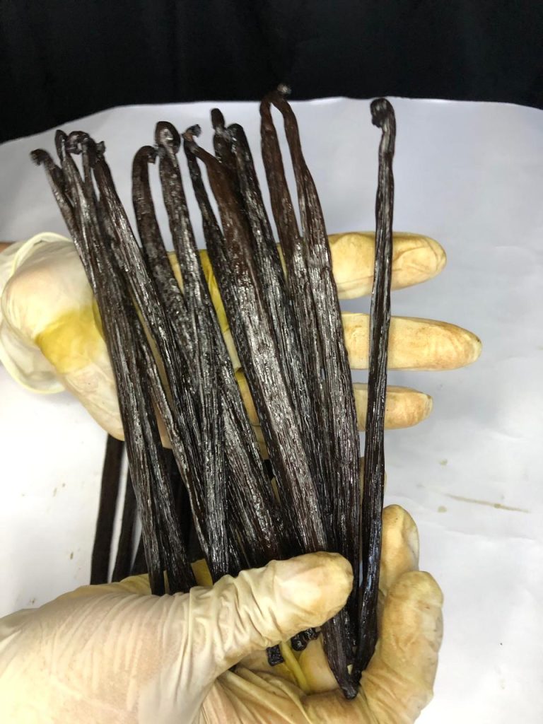High grade Indonesia vanilla beans supplier Bumora