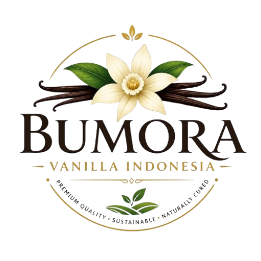 logo removebg preview