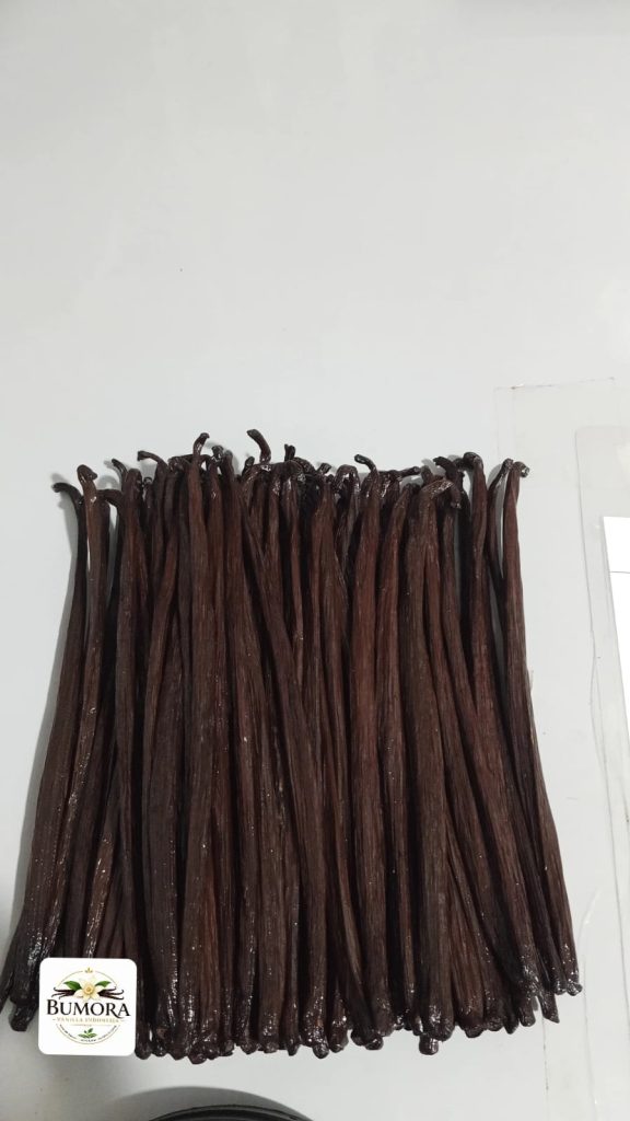 wholesale vanilla beans Indonesian Grade A gourmet vanilla benas bulk export Bumora